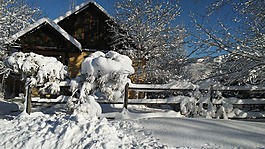 科羅拉多州,首頁,雪