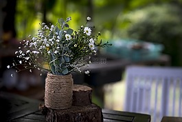 天性,花园里,婴儿