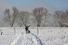 冬天,雪,樹(shù)木