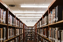 結(jié)構(gòu),建設(shè),書(shū)籍