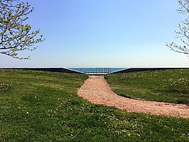 路徑,綠色,公園