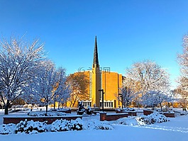 冬天,雪,樹
