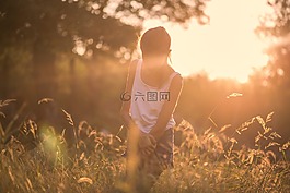 上午,陽光,日出
