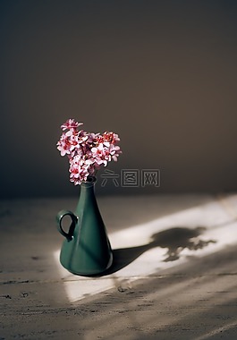 粉紅色,花,花瓣
