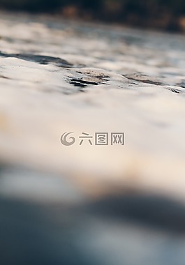海,海洋,水