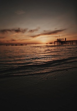 海,海洋,水