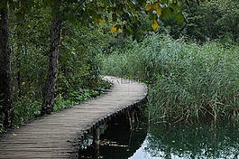 橋,綠色,自然