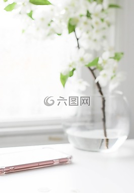 室內(nèi),植物,花
