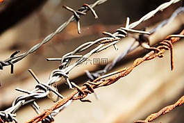 鐵絲網(wǎng),蜇,線