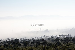 性質(zhì),景觀(guān),霧