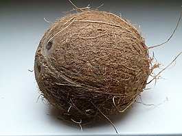 椰子,異國(guó)情調(diào),甜