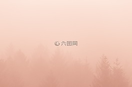 樹,植物,森林
