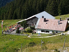 棚屋,山上的小屋,打破