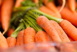 胡蘿卜,蔬菜,食品