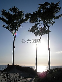黃昏,海灘,波羅的海