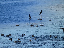 景觀,性質(zhì),湖
