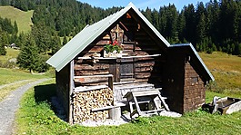 阿爾高,alpe,棚屋
