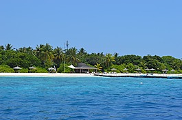 海,马尔代夫,岛
