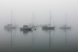 海,海洋,水