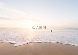 海,海洋,水