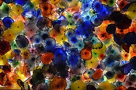 玻璃,鮮花,顏色