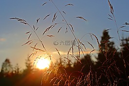 abendstimmung,日落,太陽
