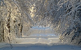 冬天,寒冬,雪