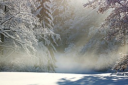 冬天,寒冬,雪