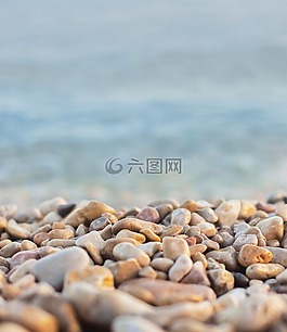 海灘,岸,海岸