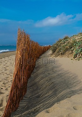 藍(lán)色,海灘,景觀