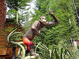 猴子,主題公園,野生動(dòng)物園