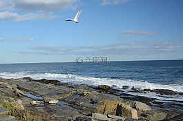 海洋,冲浪,海滩