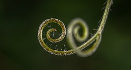 性質(zhì),背景,沒有一個(gè)人