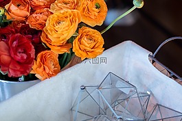 橙色,紅色,花瓣