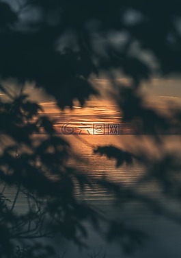 海,海洋,水