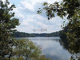 湖,水,樹