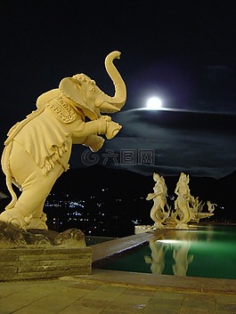 夜,月亮,象