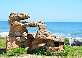 珊瑚礁,海洋,背景