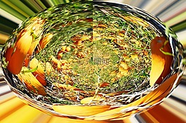 南瓜,南瓜框,食品