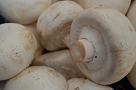 蘑菇,冠軍,食品