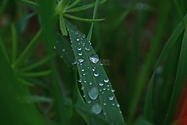 草,湿,性质