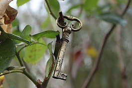 關(guān)鍵,花園,性質(zhì)