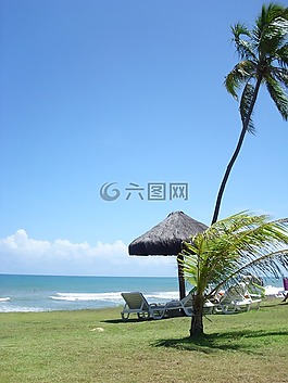 海灘,巴西,海洋