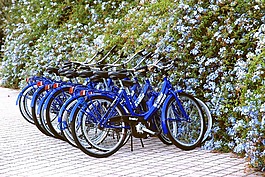 車輪,自行車,藍(lán)色