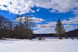 雪,樹(shù),天空