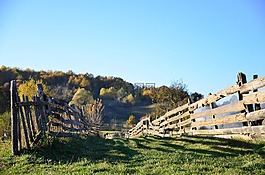 藍(lán)色,天空,綠色