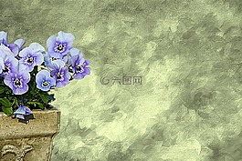 鲜花,潘茜,纹理