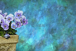 鲜花,潘茜,纹理