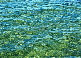 海,海洋,清除