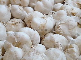 大蒜,白,kknollen